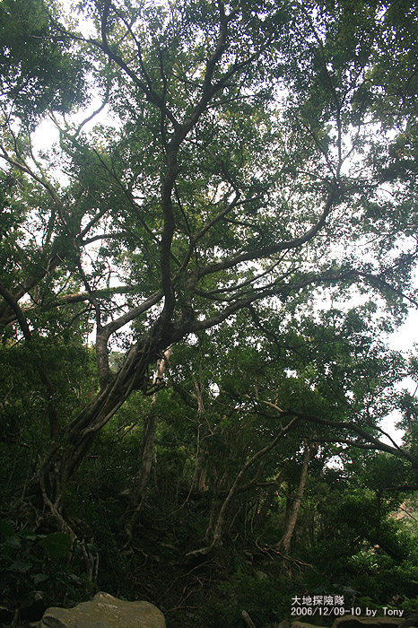 按此在新視窗瀏覽圖片