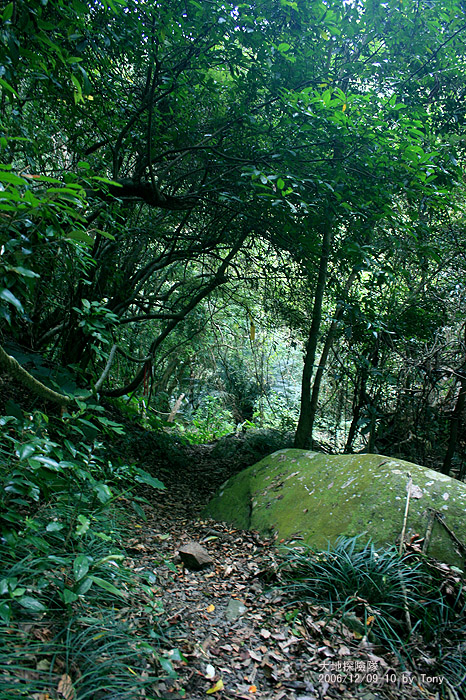 按此在新視窗瀏覽圖片