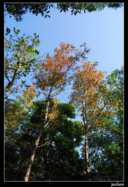 按此在新視窗瀏覽圖片