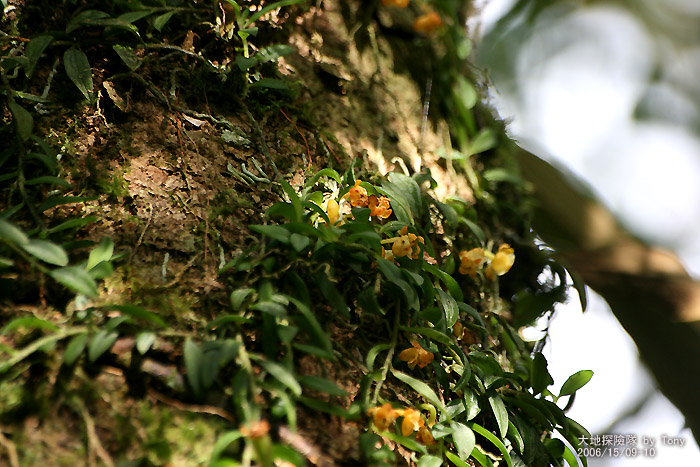 按此在新視窗瀏覽圖片