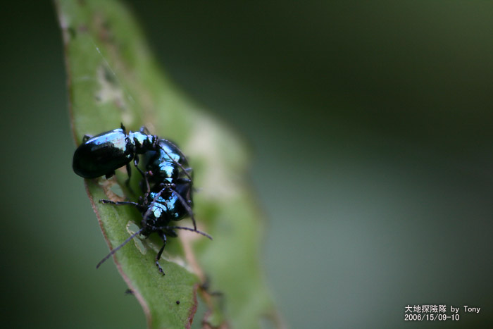 按此在新視窗瀏覽圖片