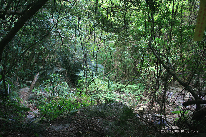 按此在新視窗瀏覽圖片