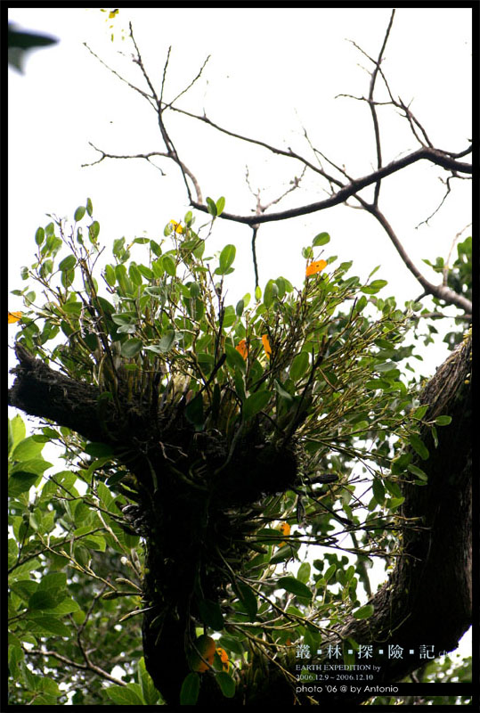 按此在新視窗瀏覽圖片