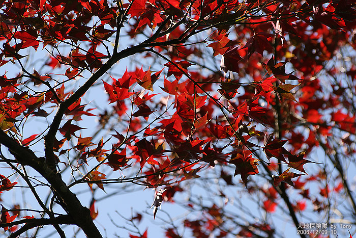 按此在新視窗瀏覽圖片