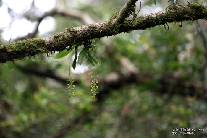 按此在新視窗瀏覽圖片