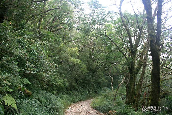 按此在新視窗瀏覽圖片