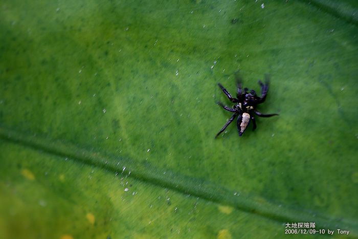 按此在新視窗瀏覽圖片