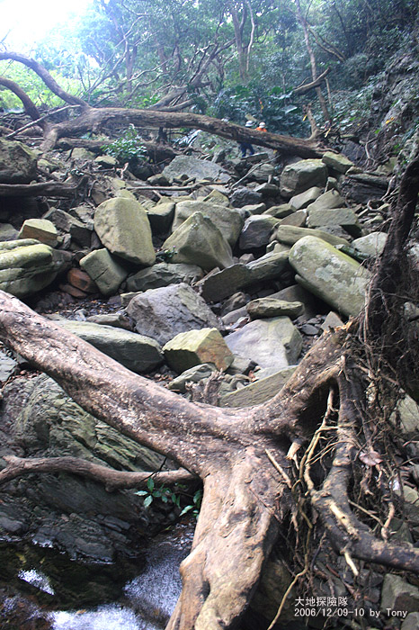 按此在新視窗瀏覽圖片