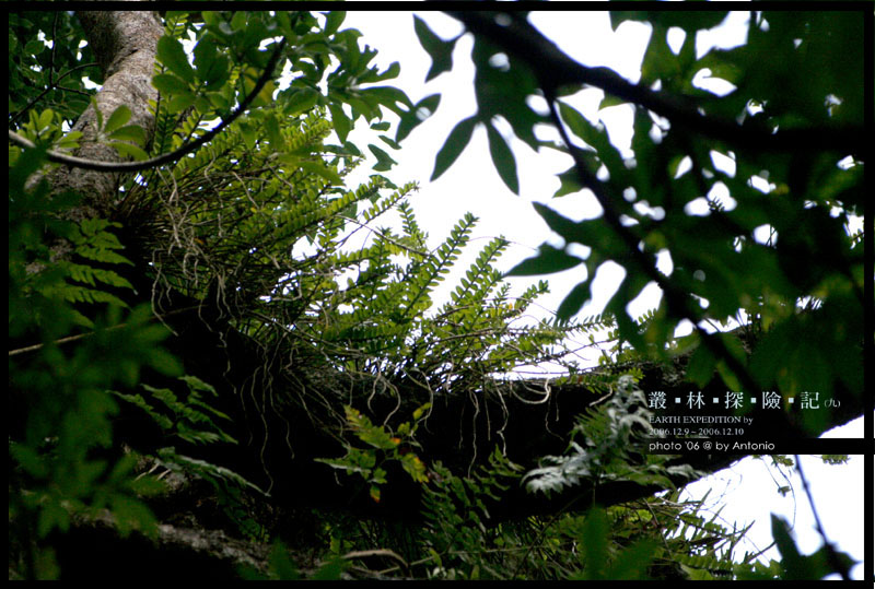 按此在新視窗瀏覽圖片