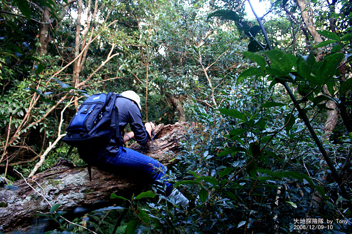 按此在新視窗瀏覽圖片