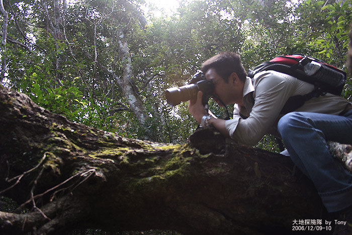 按此在新視窗瀏覽圖片
