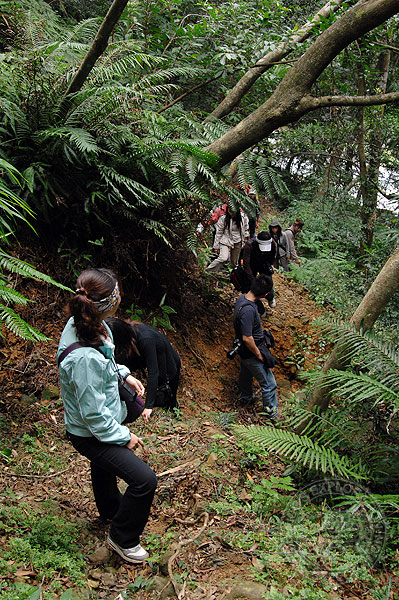 按此在新視窗瀏覽圖片