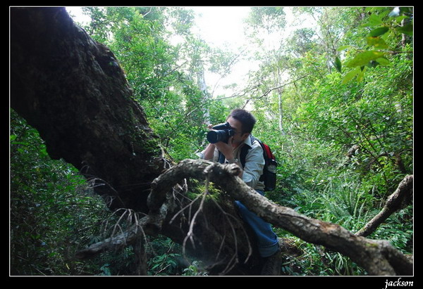 按此在新視窗瀏覽圖片