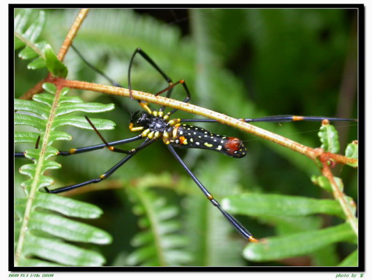 按此在新視窗瀏覽圖片