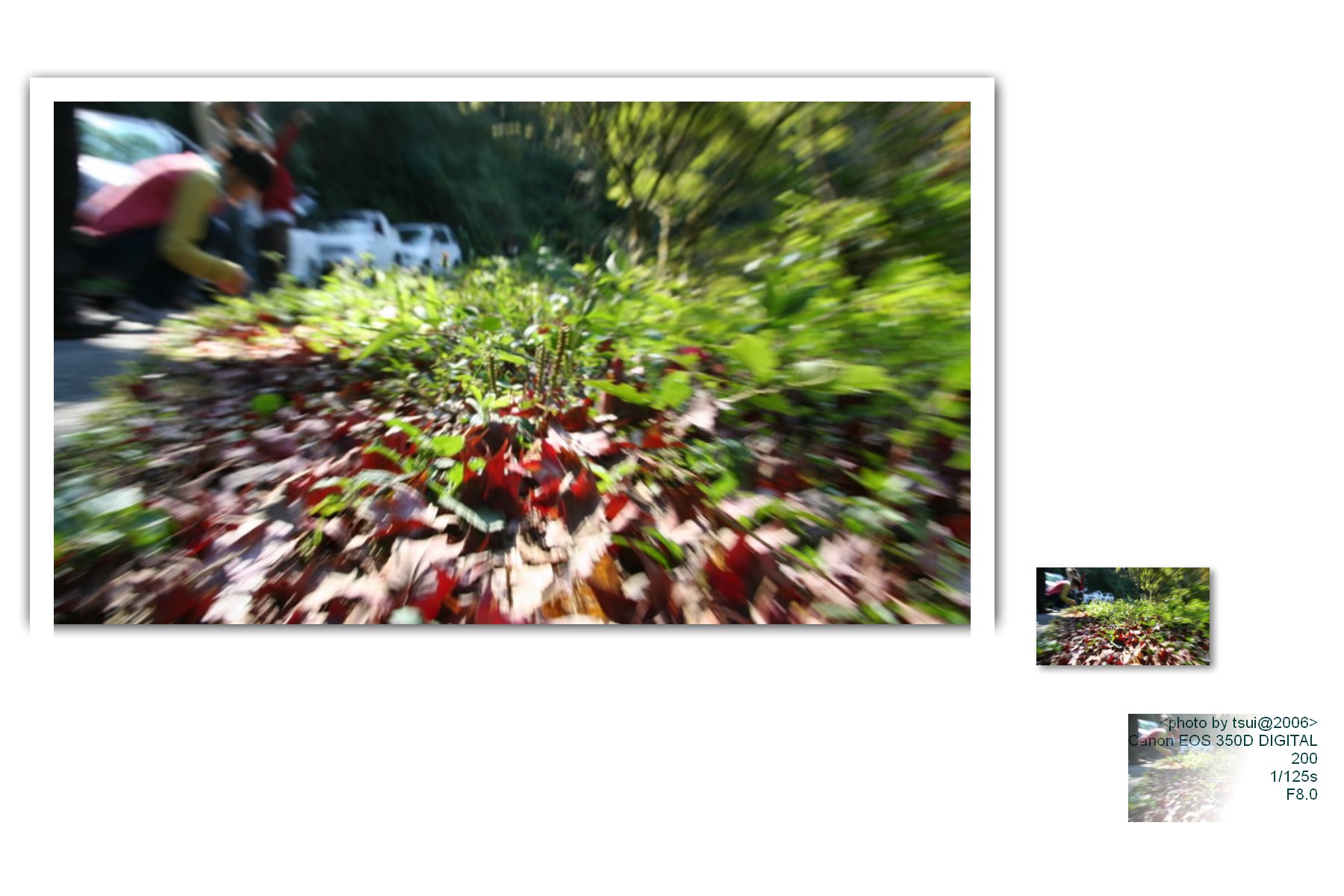 按此在新視窗瀏覽圖片