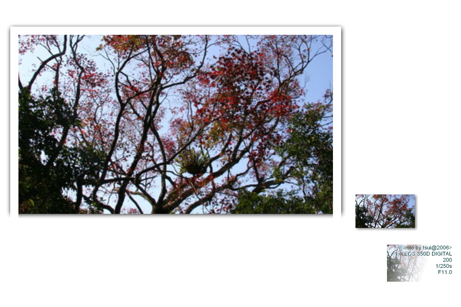 按此在新視窗瀏覽圖片