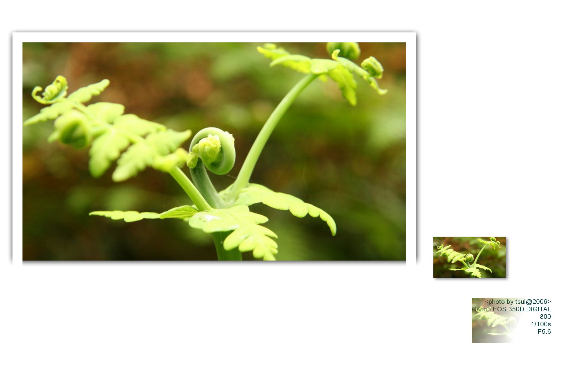 按此在新視窗瀏覽圖片