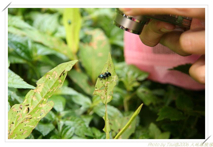 按此在新視窗瀏覽圖片