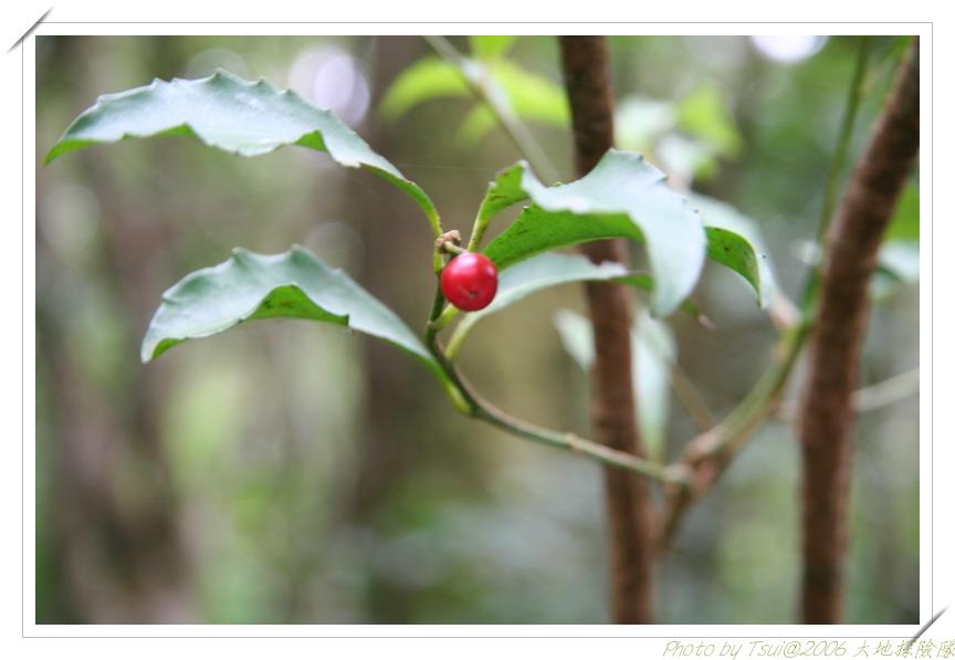按此在新視窗瀏覽圖片