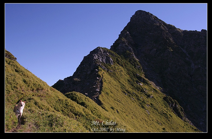 按此在新視窗瀏覽圖片