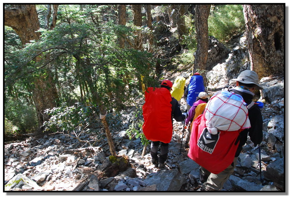 按此在新視窗瀏覽圖片