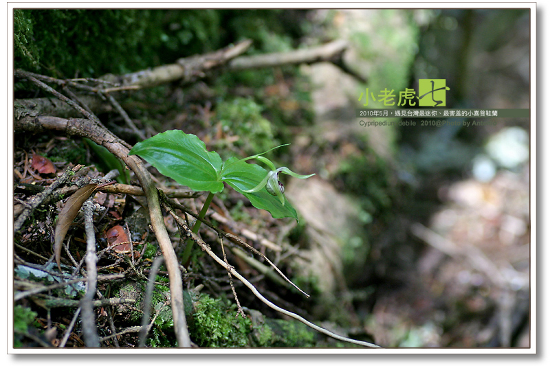 按此在新視窗瀏覽圖片