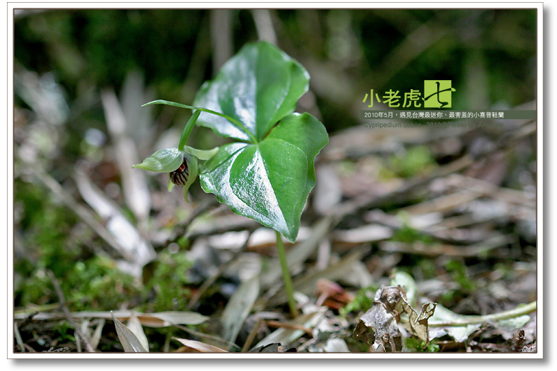 按此在新視窗瀏覽圖片