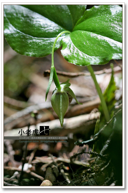 按此在新視窗瀏覽圖片