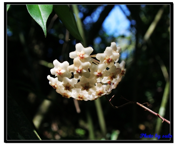 按此在新視窗瀏覽圖片