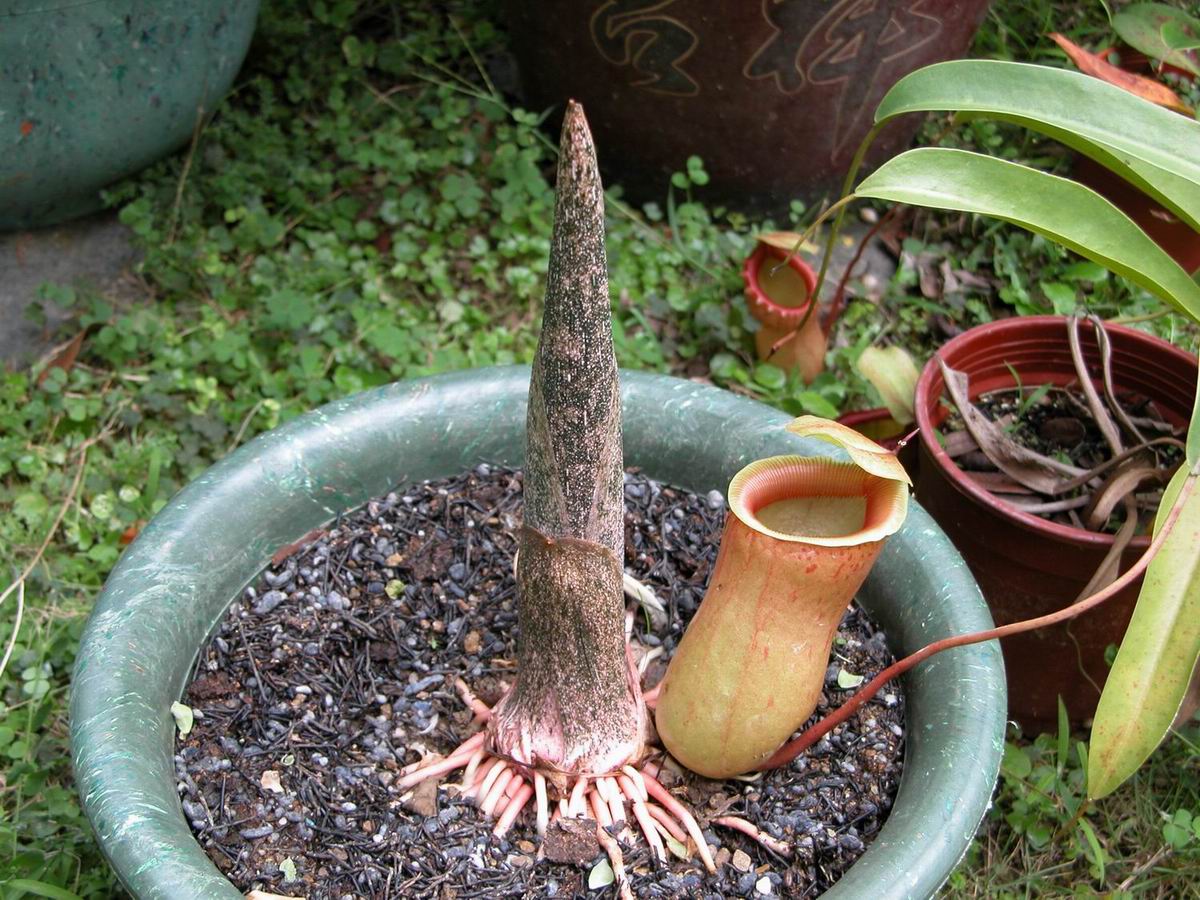 «ö¦¹¦b·sµøµ¡ÂsÄý¹Ï¤ù