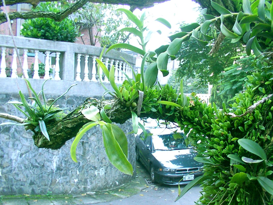 按此在新視窗瀏覽圖片