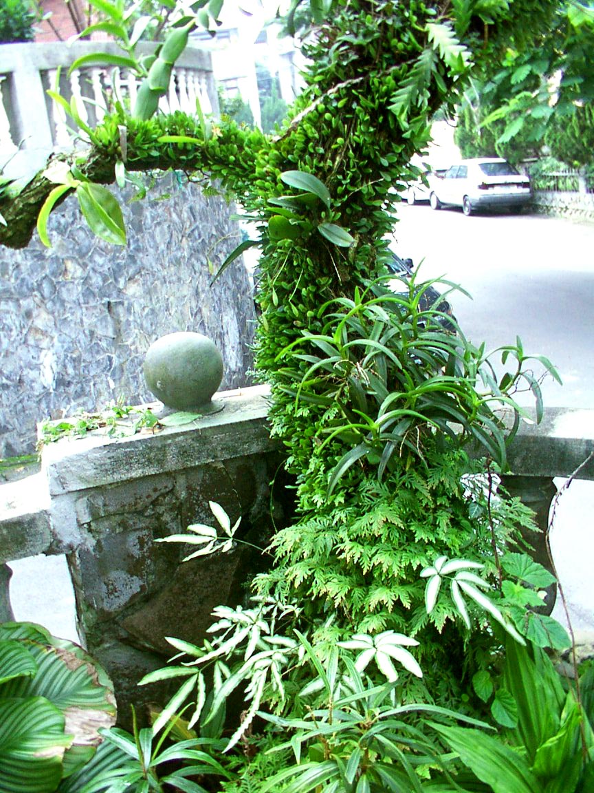 按此在新視窗瀏覽圖片