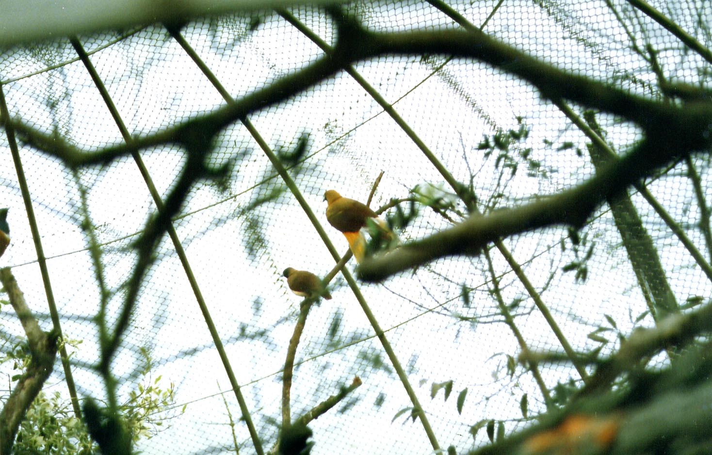 按此在新視窗瀏覽圖片