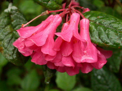 «ö¦¹¦b·sµøµ¡ÂsÄý¹Ï¤ù