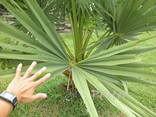 «ö¦¹¦b·sµøµ¡ÂsÄý¹Ï¤ù