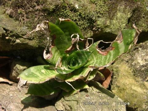 «ö¦¹¦b·sµøµ¡ÂsÄý¹Ï¤ù