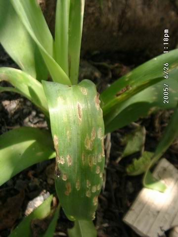 «ö¦¹¦b·sµøµ¡ÂsÄý¹Ï¤ù