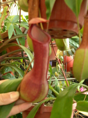 «ö¦¹¦b·sµøµ¡ÂsÄý¹Ï¤ù