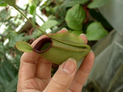 «ö¦¹¦b·sµøµ¡ÂsÄý¹Ï¤ù