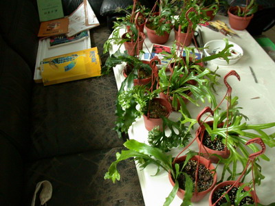 «ö¦¹¦b·sµøµ¡ÂsÄý¹Ï¤ù