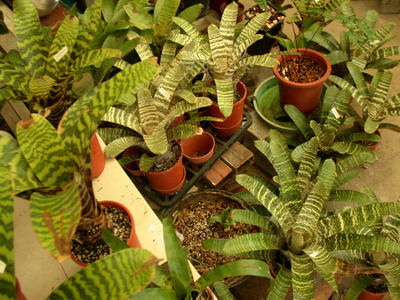 «ö¦¹¦b·sµøµ¡ÂsÄý¹Ï¤ù