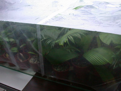 «ö¦¹¦b·sµøµ¡ÂsÄý¹Ï¤ù