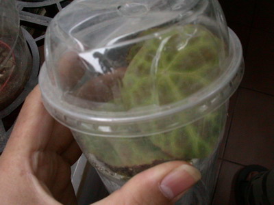 «ö¦¹¦b·sµøµ¡ÂsÄý¹Ï¤ù