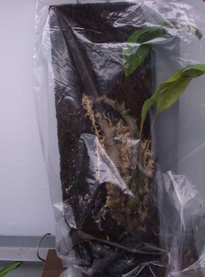 «ö¦¹¦b·sµøµ¡ÂsÄý¹Ï¤ù