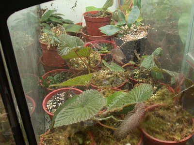 «ö¦¹¦b·sµøµ¡ÂsÄý¹Ï¤ù