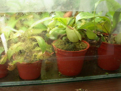 «ö¦¹¦b·sµøµ¡ÂsÄý¹Ï¤ù