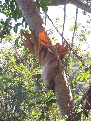 «ö¦¹¦b·sµøµ¡ÂsÄý¹Ï¤ù