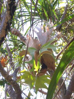 «ö¦¹¦b·sµøµ¡ÂsÄý¹Ï¤ù