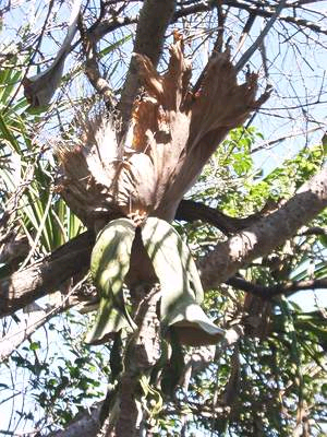 «ö¦¹¦b·sµøµ¡ÂsÄý¹Ï¤ù