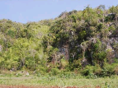 «ö¦¹¦b·sµøµ¡ÂsÄý¹Ï¤ù